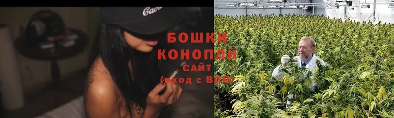 маркетплейс Telegram  Поворино  Каннабис White Widow  OMG вход 